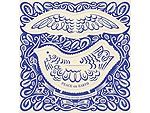 Dove Holiday Card
